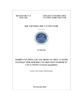 Nghiên cứu phân lập, xác định cấu trúc và đánh giá hoạt tính sinh học các hợp chất steroid từ cây lá đắng (vernonia amygdalina) 