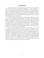 tiểu luận phân tích báo cáo tài chính áp dụng chuẩn mực báo cáo tài chính quốc tế IFRS tại việt nam 