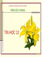 Bài giảng Tin học 12 - Bài 2: Hệ quản trị cơ sở dữ liệu (Trường THPT Trần Hữu Trang)