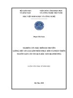 Nghiên cứu đặc điểm di truyền giống mít cổ loa góp phần phục hồi và phát triển nguồn gen cây ăn quả đặc sản địa phương 