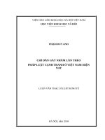 Chỉ dẫn gây nhầm lẫn theo pháp luật cạnh tranh ở việt nam