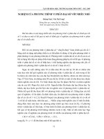 Nghiệm của phương trình vi phân đại số với nhiễu nhỏ