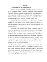 Luận văn thực thi pháp luật về tổ chức quản trị nội bộ của ngân hàng thương mại cổ phần qua thực tiễn ngân hàng TMCP đầu tư và phát triển việt nam   BIDV