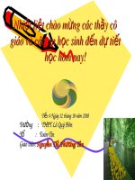 Bài giảng Đại số 10 - Bài 1: Đại cương về hàm số