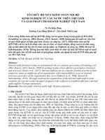 Tổ chức bộ máy kiểm toán nội bộ kinh nghiệm từ các nước trên thế giới và giải pháp cho doanh nghiệp Việt Nam