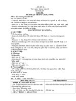 giáo án mỹ thuật lớp 1 sách vì sự bình đằng và dân chủ trong giáo dục - cả măm