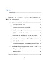 Luận văn pháp luật về kiểm soát rủi ro trong hoạt động cho thuê tài chính tại việt nam