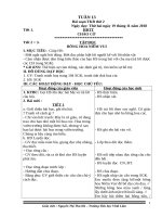 Giáo án lớp 2 tuần 13 năm học 2018 – 2019