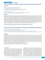 Vai trò nhuộm hóa mô miễn dịch BCL6 nội mạc tử cung ở các trường hợp vô sinh