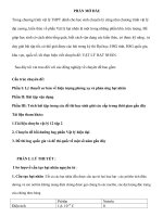 chuyên đề vật lý hạt nhân lý thuyết cơ bản về hiện tượng phóng xạ và phản ứng hạt nhân 