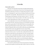 tiểu luận kinh tế khu vực tình hình đầu tư trực tiếp nước ngoài (FDI) vào lĩnh vực dịch vụ bán lẻ của việt nam giai đoạn 2008 2018 