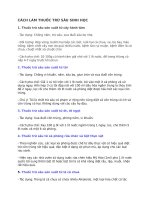 CÁCH làm THUỐC TRỪ sâu SINH học 