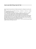 Cách làm đất trồng cây ăn trái 