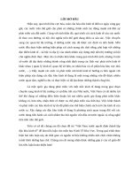 tiểu luận kinh tế khu vực việt nam trước quyết định thành lập đặc khu kinh tế 