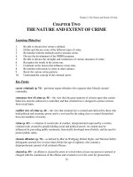 Test bank and solution manual the nature of crime (2) 