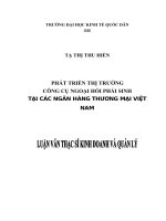 Luận văn thạc sỹ - Phát triển thị trường công cụ ngoái hối phái sinh tại các ngân hàng thương mại Việt Nam