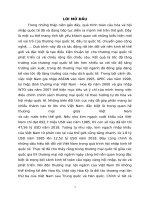 tiểu luận kinh tế khu vực thương mại nội ngành việt nam   hoa kỳ  cơ hội, thách thức và giải pháp đề xuất 