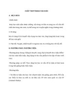 chuyên đề CHẤT THƠ TRONG văn XUÔI 