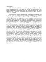 tiểu luận kinh tế khu vực thực trạng và giải pháp phát triển nông nghiệp thông minh thích ứng với biến đổi khí hậu tại việt nam 