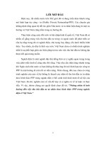 tiểu luận kinh tế khu vực những nhân tố ảnh hưởng đến việc thu hút đầu tư tư nhân theo hình thức PPP trong ngành điện ở việt nam  