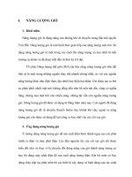 tiểu luận kinh tế khu vực tiềm năng và thách thức phát triển năng lượng gió ở việt nam 