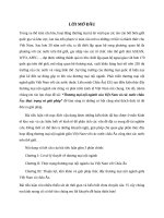 tiểu luận kinh tế khu vực thương mại nội ngành của việt nam và các nước châu âu thực trạng và giải pháp 