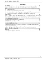 Đề tài Kinh tế phát triển: Phân tích quá trình thay đổi trong quan niệm về vai trò của các yếu tố nguồn lực trong tăng trưởng kinh tế (theo các mô hình tăng trưởng)