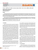 Phát triển mô hình dự báo khai thác cho các giếng dầu khí