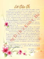 Khóa luận tốt nghiệp: Đánh giá sự hài lòng của nhân viên đối với xí nghiệp gạch Tuynen Hải Chánh  Công ty cổ phần gạch ngói Quảng Trị