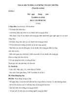 Giáo án sách cánh diều môn tự nhiên và xã hội 