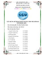 XÂY DỰNG kế HOẠCH bán HÀNG CHO TRÀ bí ĐAO WONDERFARM 