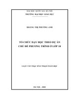 Tổ chức dạy học theo dự án chủ đề phương trình ở lớp 10 