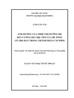 Ảnh hưởng của nhiệt độ dưỡng hộ đến cường độ chịu nén của bê tông có tro bay trong thành phần cấp phối 