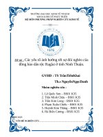 Tiểu luận: Các yếu tố ảnh hưởng tới sự đói nghèo của đồng bào dân tộc Raglai ở tỉnh Ninh Thuận