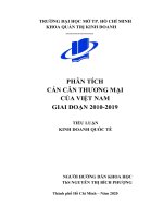Phân tích cán cân thương mại Việt Nam giai đoạn 2010 - 2019