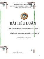 Tiểu luận kỹ thuật phát thanh truyền hình: Các tiêu chuẩn truyền dẫn truyền hình số