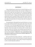 Bài tiểu luận: Phân tích các công cụ quản lý hàng hóa nhập khẩu, liên hệ với thực tiễn của Việt Nam trong xu hướng hội nhập quốc tế