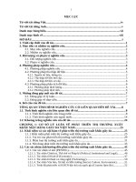 Giải pháp phát triển thị trường xuất khẩu mặt hàng giày da việt nam 