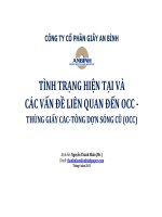 TÌNH TRẠNG HIỆN TẠI VÀ CÁC VẤN ĐỀ LIÊN QUAN ĐẾN OCC - THÙNG GIẤY CAC-TÔNG DỢN SÓNG CŨ (OCC)