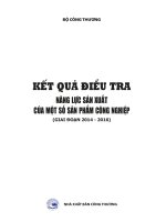 KẾT QUẢ ĐIỀU TRA NĂNG LỰC SẢN XUẤT Của MỘT SỐ SẢN PHẨM CÔNG NGHIỆP