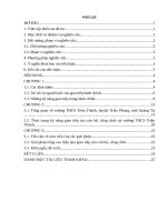 TIỂU LUẬN HOẠT ĐỘNG GIAO TIẾP HÀNH CHÍNH TRONG CƠ QUAN