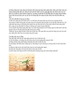 Du lieu CNTT co ban so 1 ngay 16 10 2016 