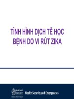 TÌNH HÌNH DỊCH TỄ HỌC BỆNH DO VI RÚT ZIKA