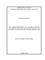 SỨC KHỎE TINH THẦN CỦA NGƯỜI CAO TUỔI . LUẬN VĂN THẠC SĨ TÂM LÝ HỌC