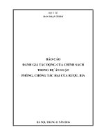BÁO CÁO ĐÁNH GIÁ TÁC ĐỘNG CỦA CHÍNH SÁCHTRONG DỰ ÁN LUẬT PHÒNG, CHỐNG TÁC HẠI CỦA RƯỢU, BIA