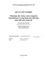 Tổng hợp, đặc trưng nano composite ZnOchitosan và ứng dụng làm chất hấp phụ chất màu congo đỏ