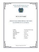 Đồ án khảo sát quá trình trích ly thu nhận flavonoid từ củ cải trắng