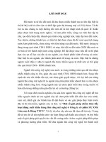một số giải pháp nhằm thúc đẩy hoạt động xuất khẩu hàng thủ công mỹ nghệ ở công ty cổ phần SX XNK lâm sản  hàng TTCN 