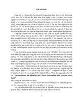  đẩy mạnh tiêu thụ hàng hoá tại công ty thương mại tổng hợp tỉnh nam định 