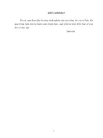 Hoàn thiện quy trình giao hàng xuất khẩu bằng đường biển tại công ty cổ phần ALP Logistics